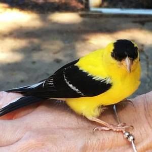 Meet your Posher, Rena